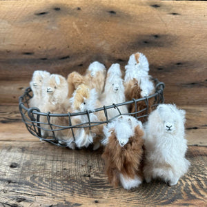 Mini Small Standing Alpaca