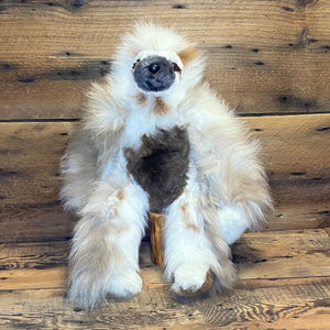 Alpaca Sloths