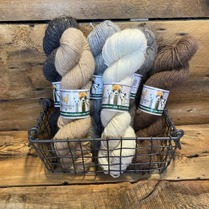 Medium-Weight Farming Co-op Yarn - Natural Colours