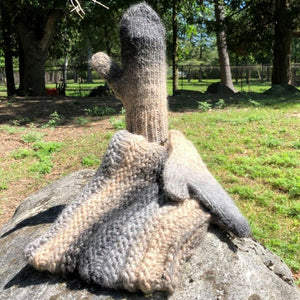 Lopi Variegated Mittens