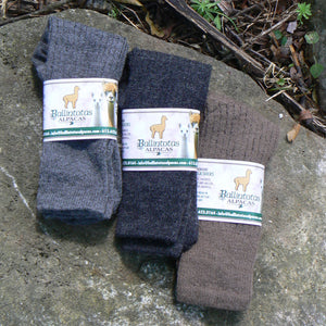 Mid-Weight Ribbed Socks