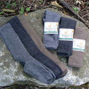 Mid-Weight Ribbed Socks