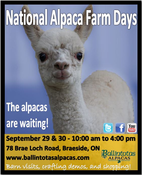 National Alpaca Farm Days | 2018/09/29-2018/09/30