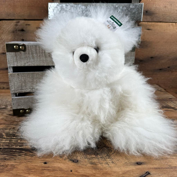 Teddy Bears - Ballintotas Alpacas