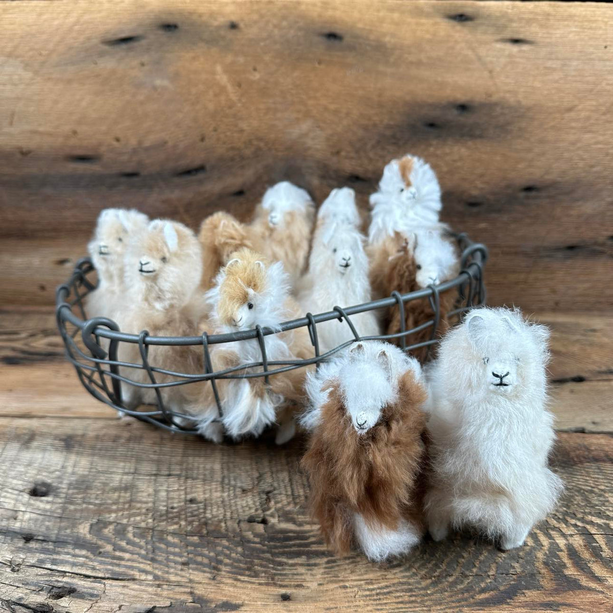 Mini Small Standing Alpaca