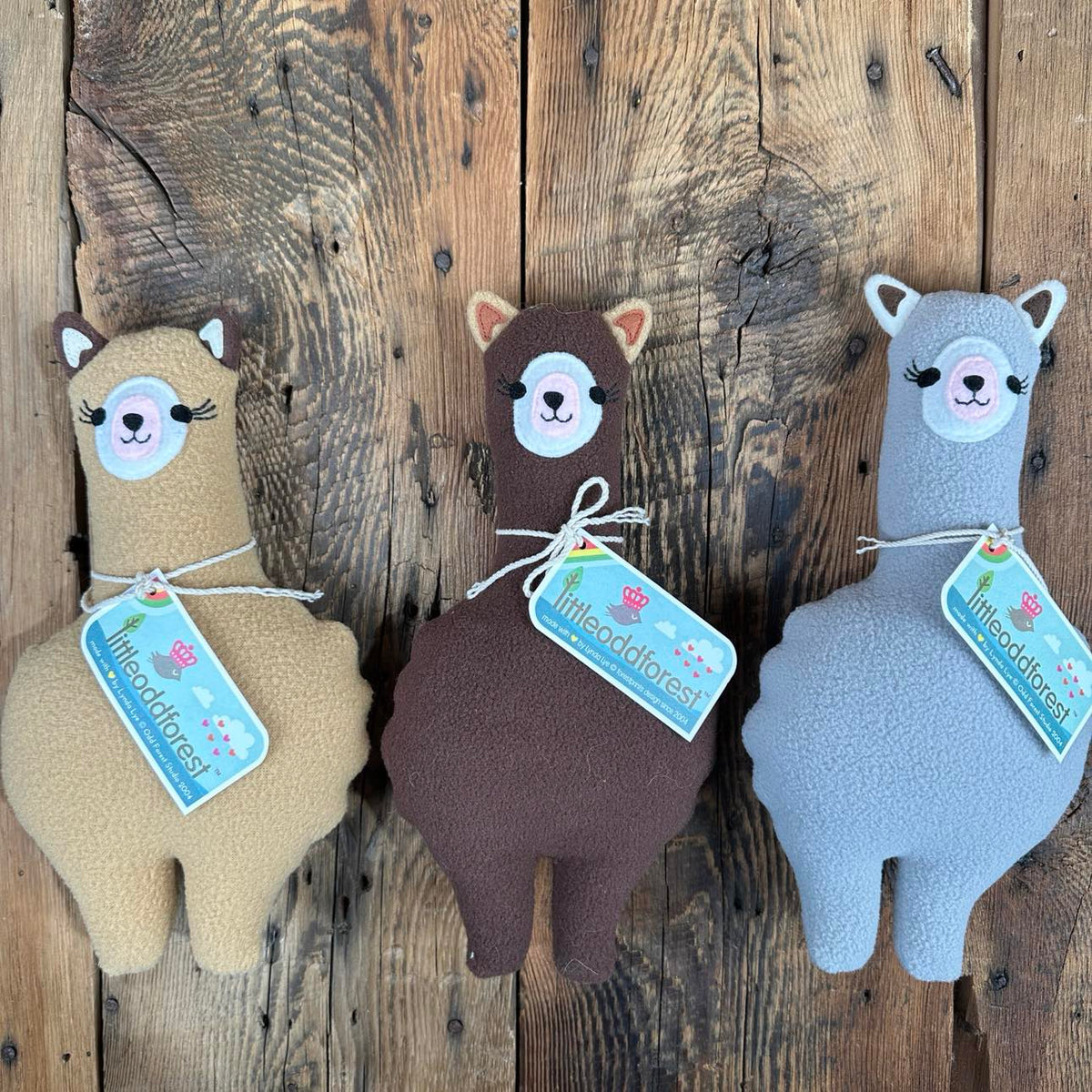 Little Odd Forest Alpaca