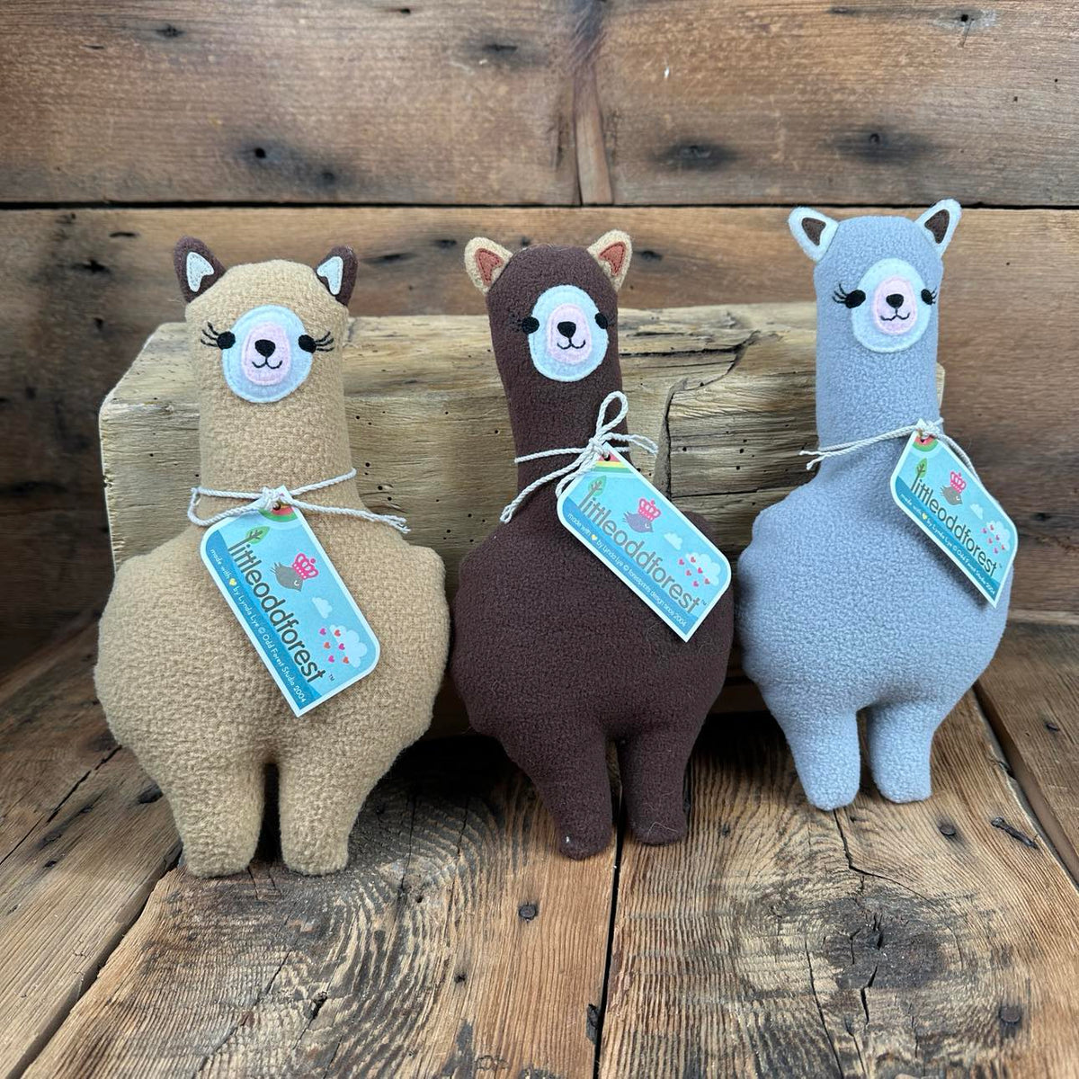 Little Odd Forest Alpaca