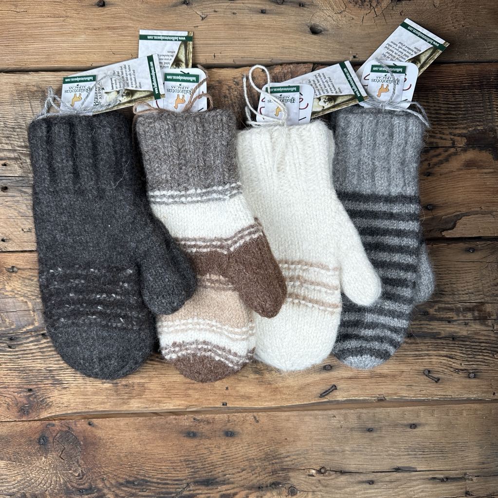 Single-Knit Felted Mittens by Marcella