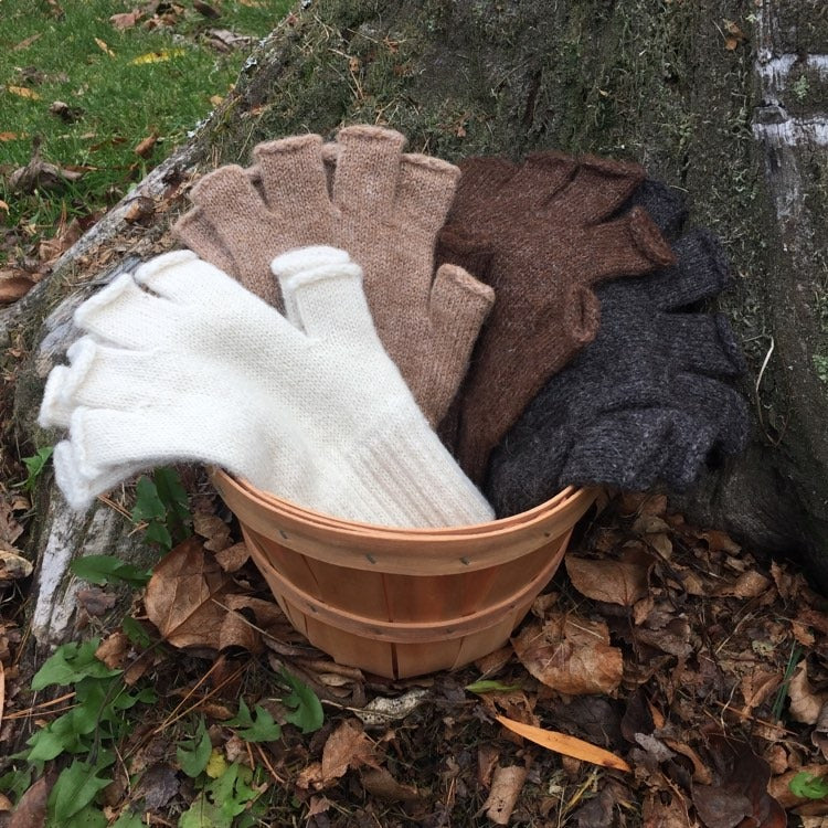 Mid-Weight Fingerless Gloves