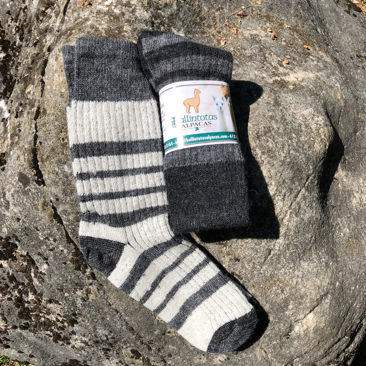 Mid-Weight Ribbed Socks - Striped