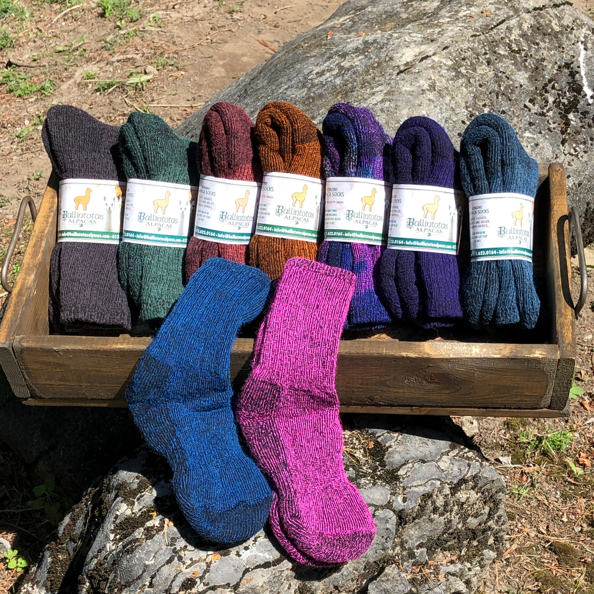 Survival Socks