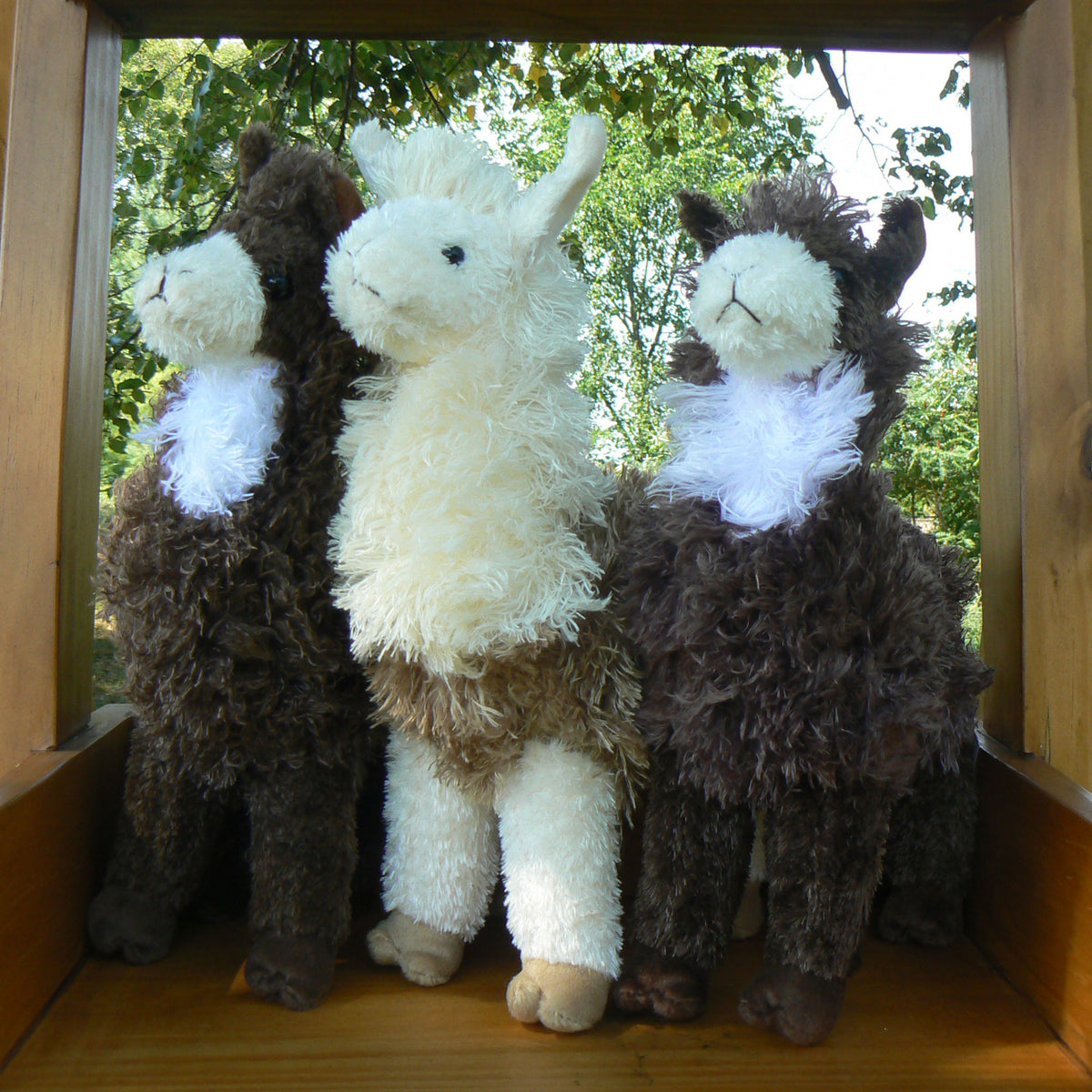 Baby’s First Alpaca