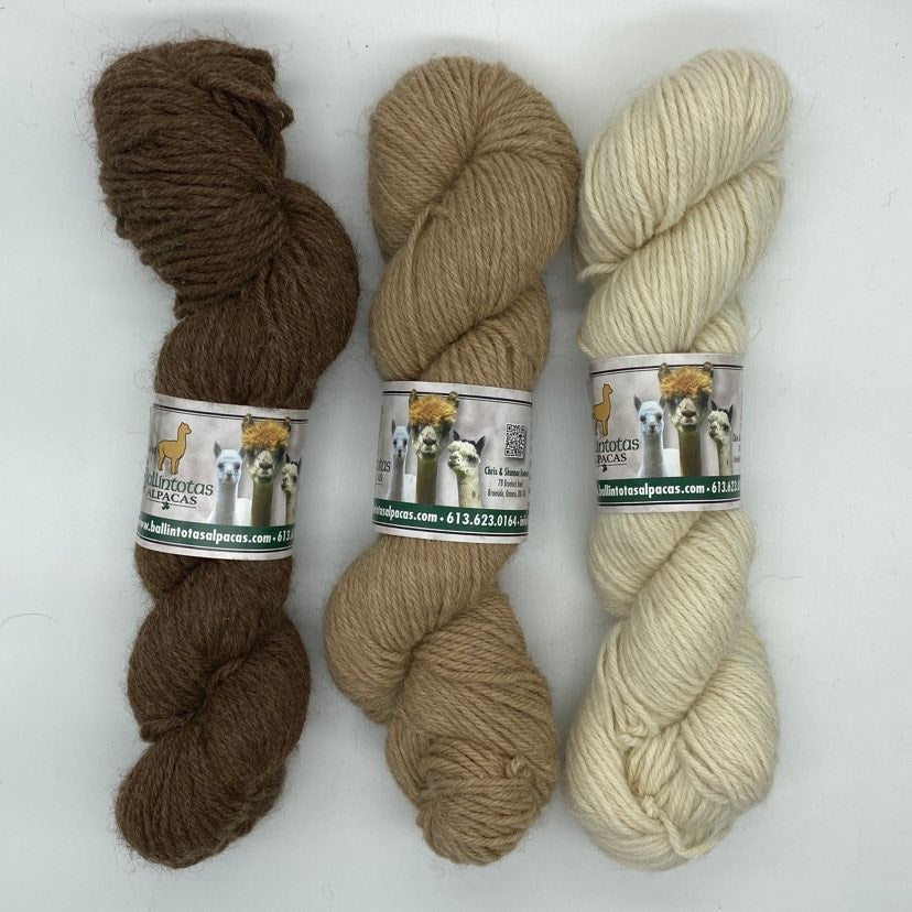 Medium-Weight Farming Co-op Yarn - Natural Colours