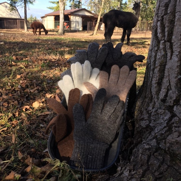 Mid-Weight Gloves - Natural Colours