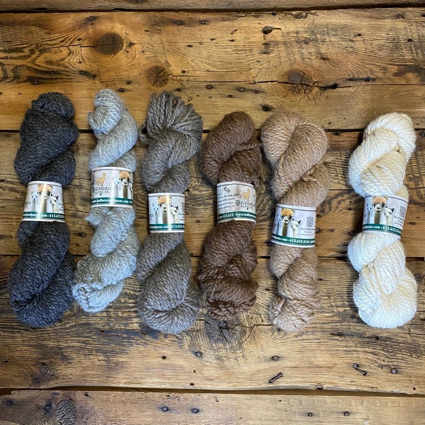 Bulky-Weight Farming Co-op Yarn - Natural Colours