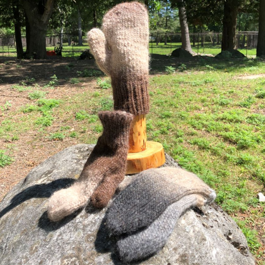 Lopi Variegated Mittens